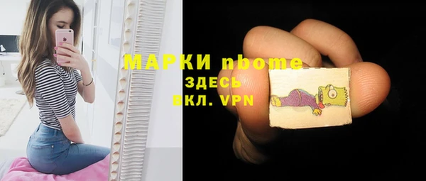 гашик Богородицк
