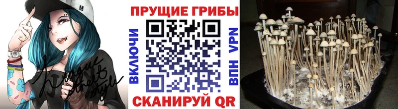 Галлюциногенные грибы прущие грибы  omg ТОР  Красавино 